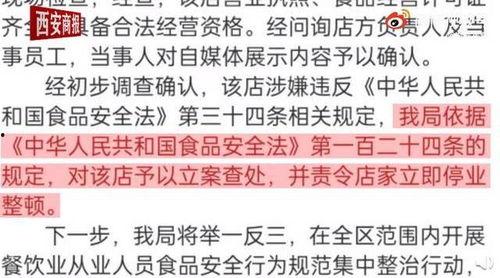 青瓜最新爆料视频,精彩瞬间一网打尽