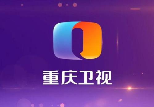 重庆卫视爆料最新消息,揭秘重大事件背后真相!