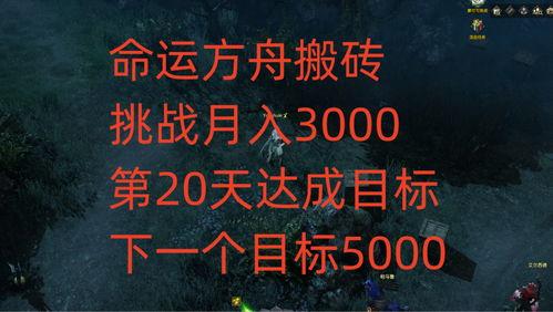 方舟金价爆料最新消息,市场动态揭秘,投资风向标再起