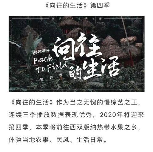向往4最新爆料,明星们的生活日常大揭秘!
